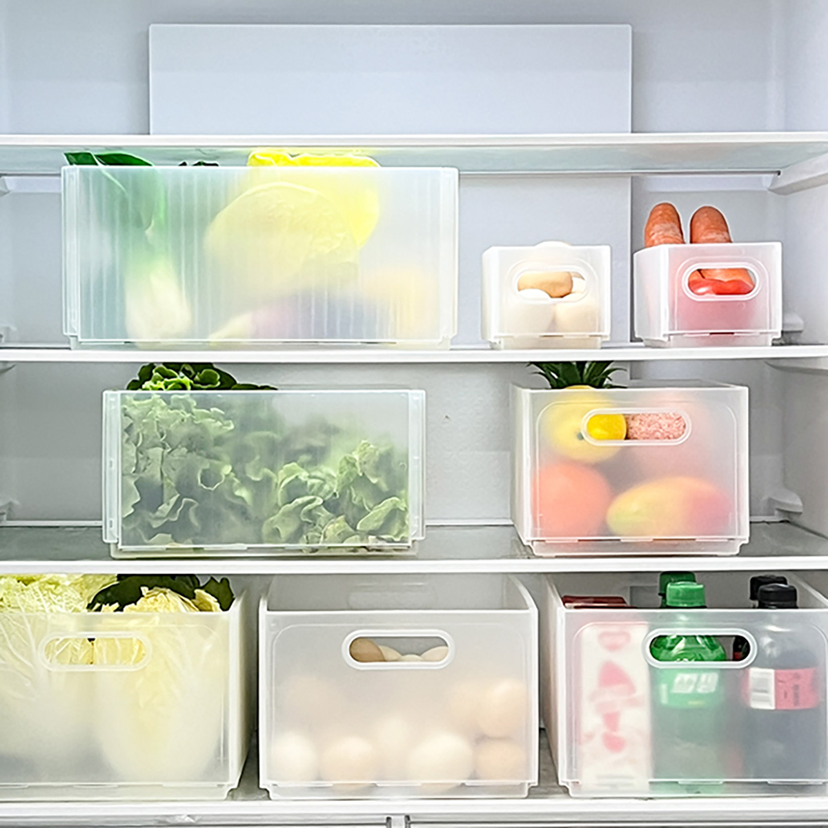 WORTHBUY Plastic Folding Fridg - Food Storage Without Plastic avis et prix