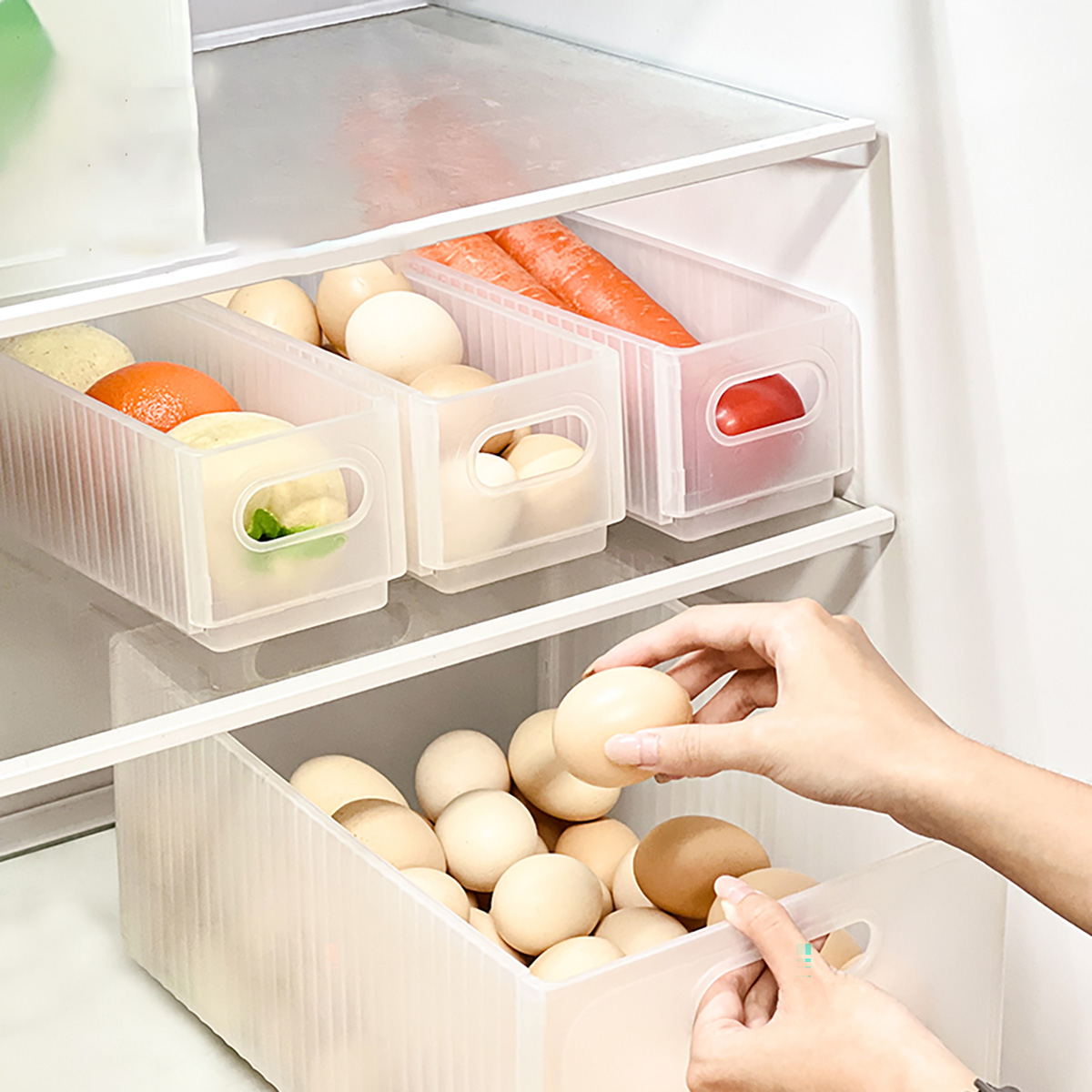 WORTHBUY Plastic Folding Fridg - Food Storage Without Plastic avis et prix
