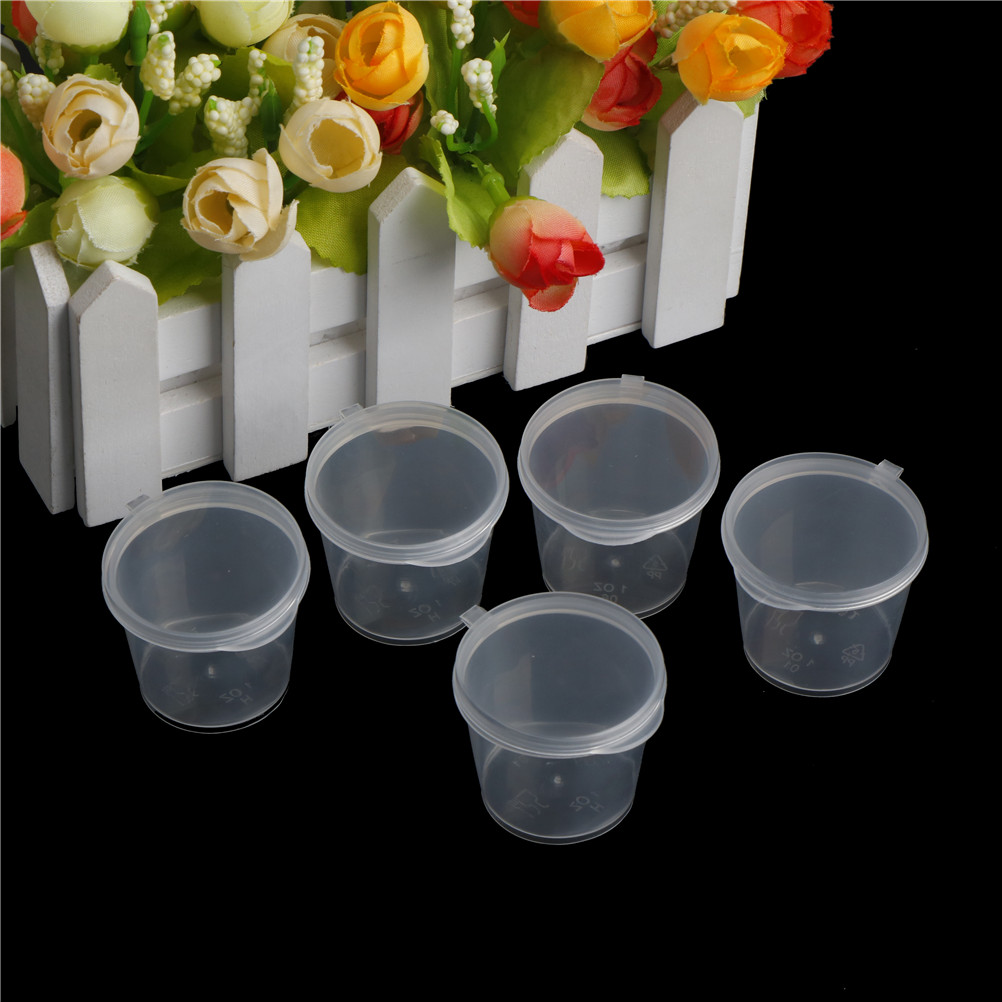 Hot 100Pcs Small Plastic Dispo - Food Storage Hot Box avis et prix