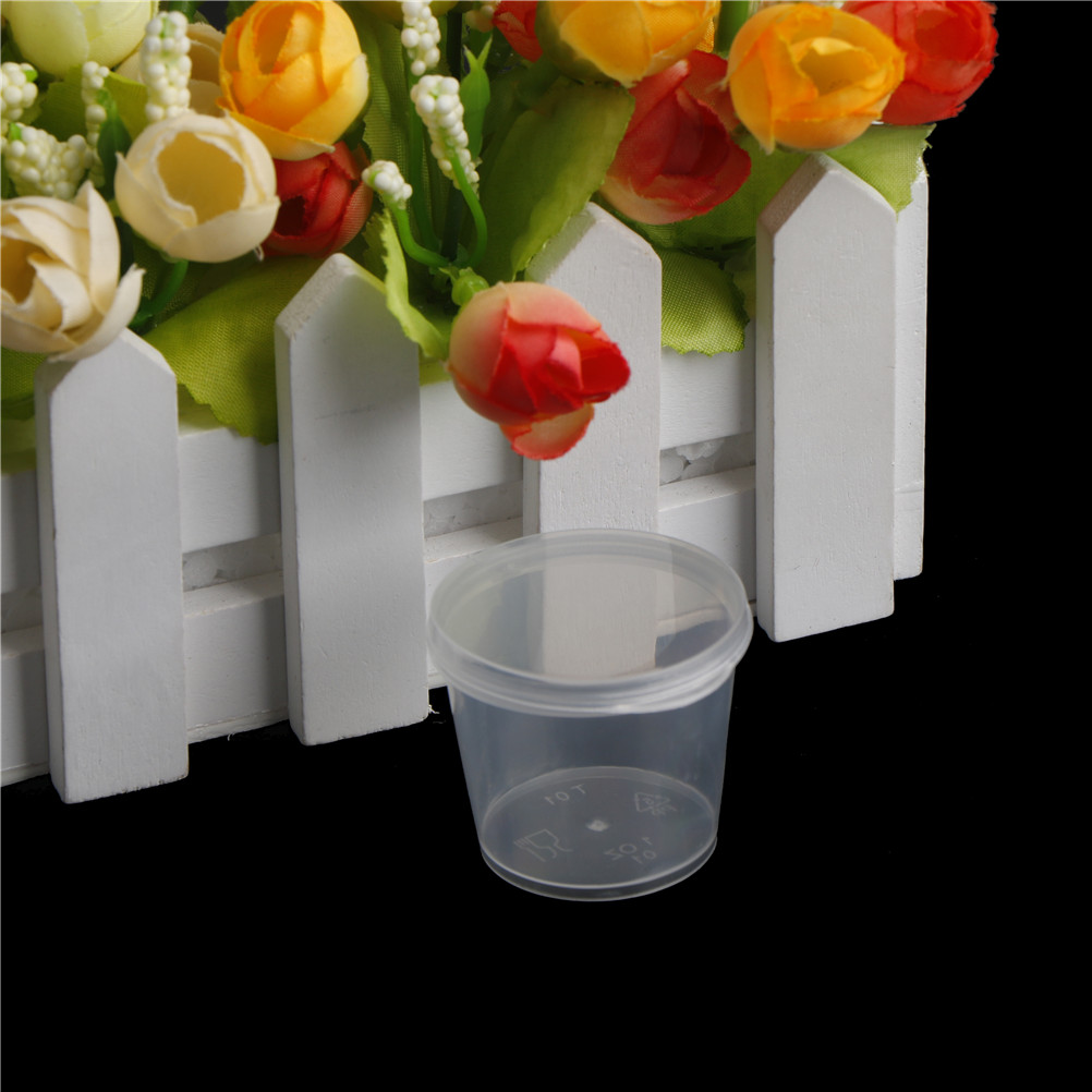 Hot 100Pcs Small Plastic Dispo - Food Storage Hot Box avis et prix