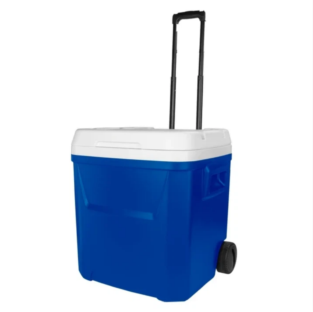 60 QT Blue Laguna Wheeled Hard - Food Storage In Cooler avis et prix