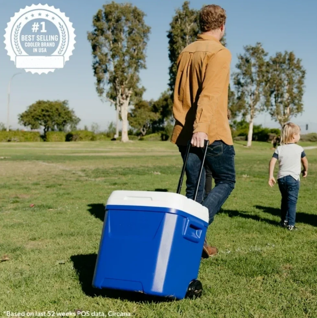 60 QT Blue Laguna Wheeled Hard - Food Storage In Cooler avis et prix