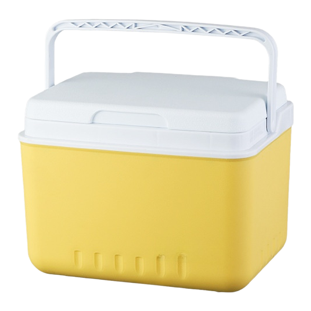 Portable 6L 15L Insulated Cool - Food Storage In Cooler avis et prix
