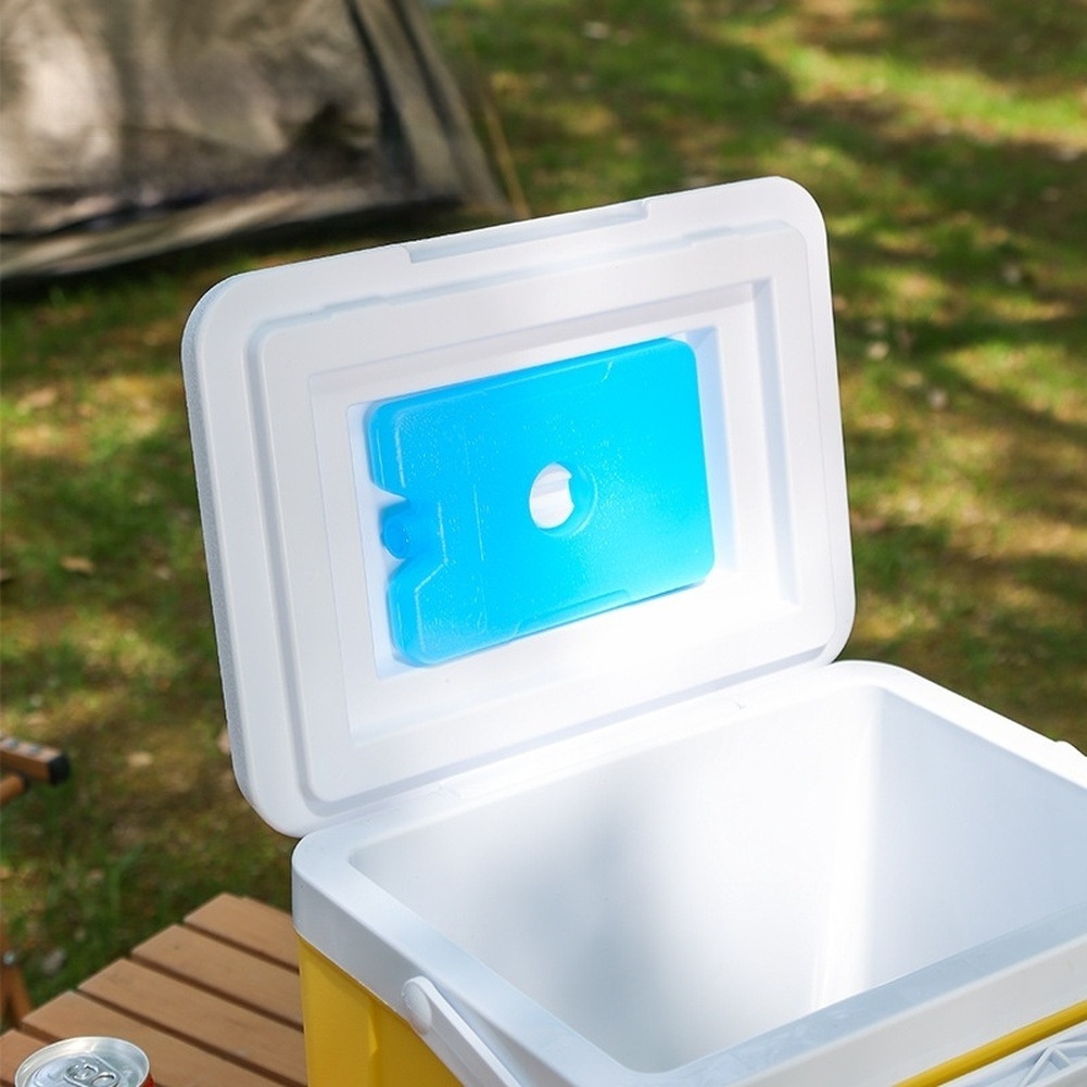 Portable 6L 15L Insulated Cool - Food Storage In Cooler avis et prix