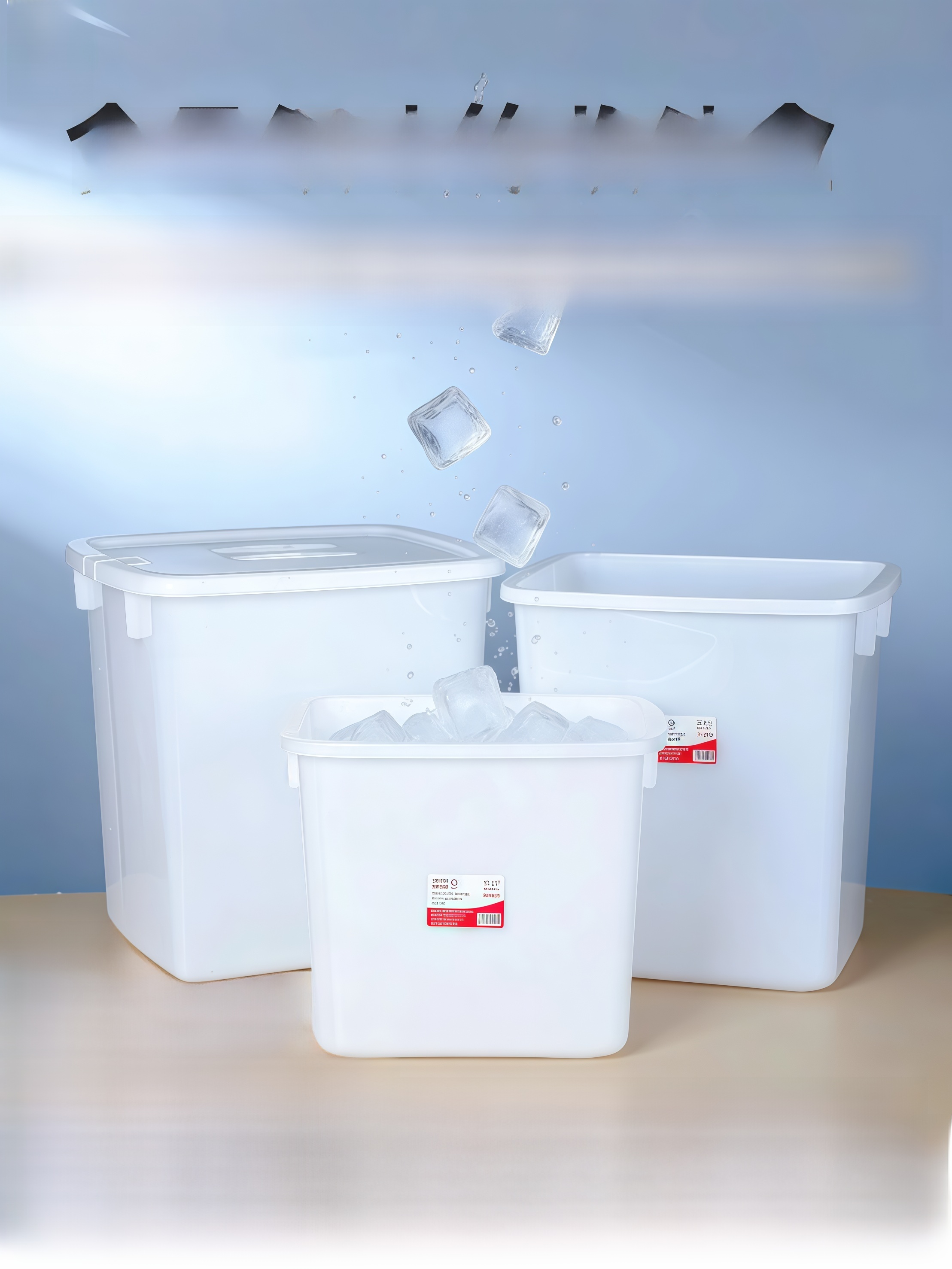 Commercial Grade Large Sealed  - Food Storage Box Large avis et prix