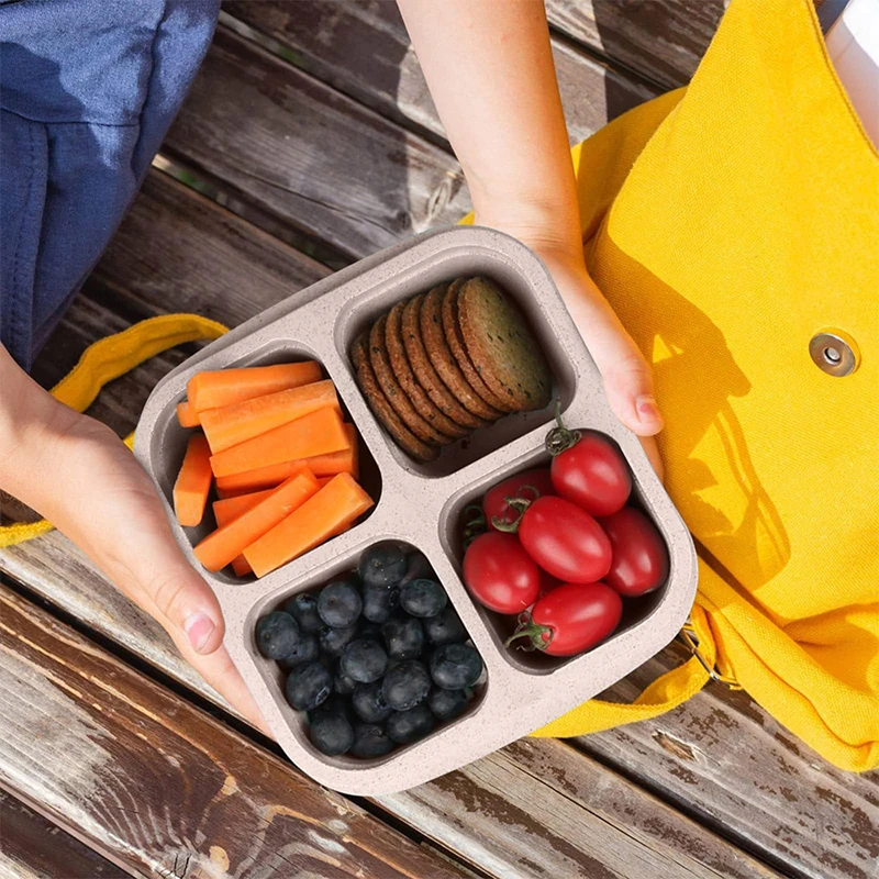 4 Grids Food Storage Box Porta - Food Storage Bowls avis et prix