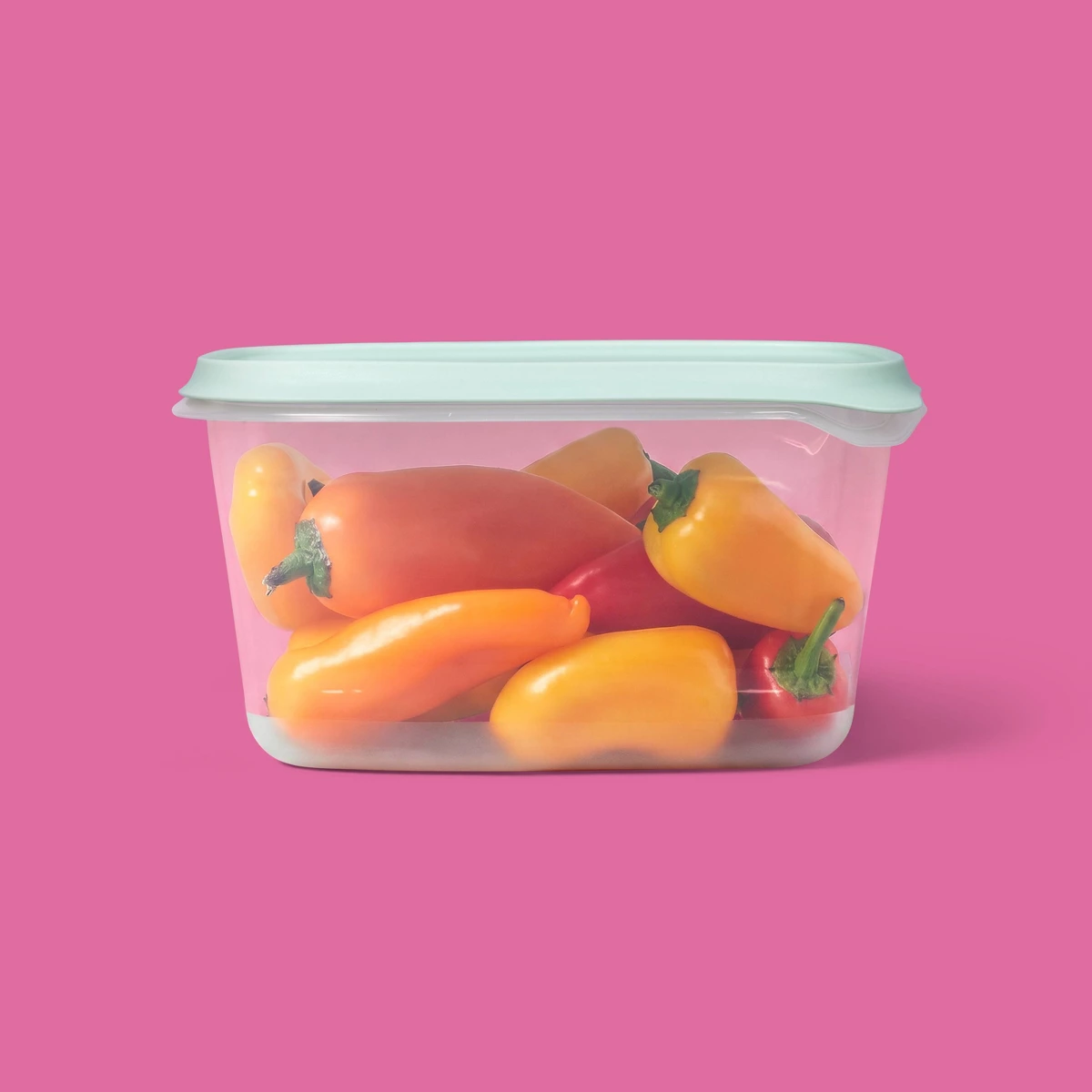 2026 New 2 Pack 48oz Large Rec - Food Storage Freezer Containers avis et prix